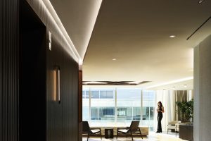 009 9106 000 HIPDC Mayer Brown DC 20221130 N30 lip